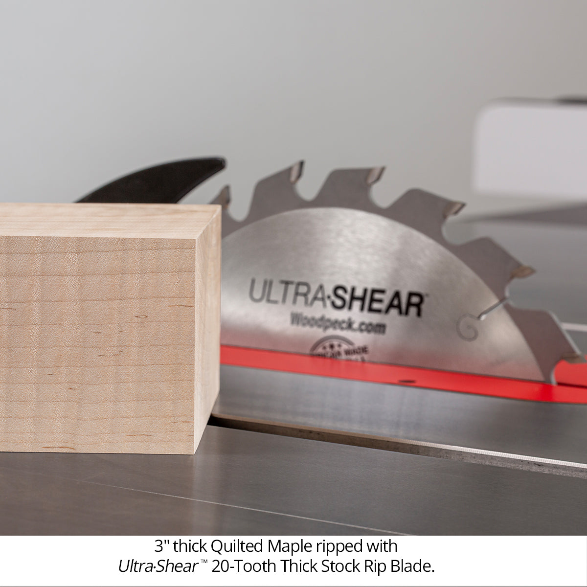 Ultra-Shear Thick Stock Rip Saw Blade | 10 Inch | 20-Tooth | Full Kerf | USA Made - US1020RIPFK